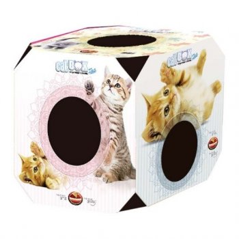 CAT BOX FILHOTE FURACAOPET