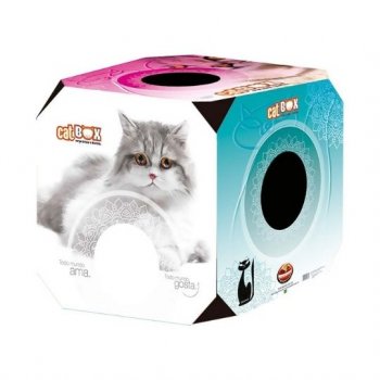 CAT BOX ADULTO FURACAOPET